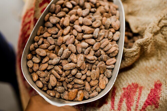 The Art of Chocolate Making Bean-To-Bar Experience in Cape Town - Who this is best for (and who might want something else)