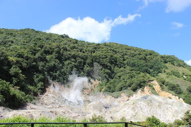 The Best of Saint Lucia Tour - Diamond Falls Botanical Gardens: A Calm Finish With a Surprise Twist