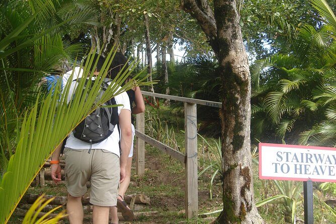 The Best of Saint Lucia Tour - Pickup, Timing, and the Small-Group Advantage