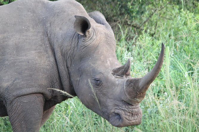 The Best of Zululand's Big 5 reserves - For the Discerning guest - Price and What $23,500 Buys You