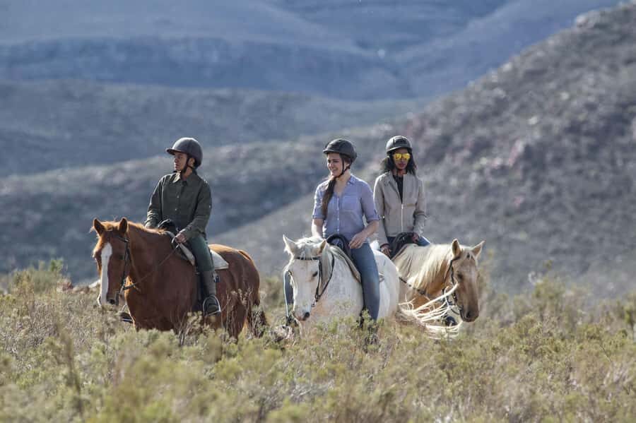 The Best Private Cape Town Safari Day Trip - Aquila Big 5 - Big Five in the Karoo, Close Enough for a One-Day Plan