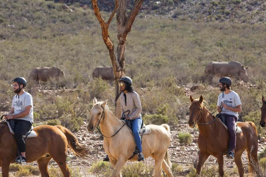 The Best Private Cape Town Safari Day Trip - Aquila Big 5 - Breakfast and Welcome Drinks: The Morning Start That Actually Matters