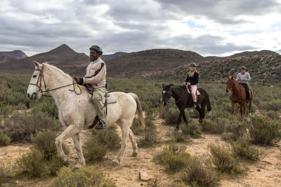 The Best Private Cape Town Safari Day Trip - Aquila Big 5 - Price ($374): What You’re Paying For and When It’s Worth It