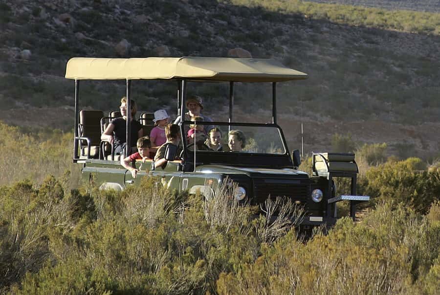 The Best Private Cape Town Safari Day Trip - Aquila Big 5 - What to Pack for This Cape Town Big 5 Day Trip