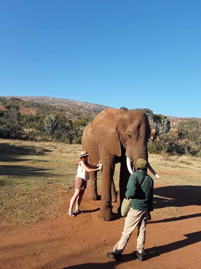 The Elephant and Monkey Sanctuary. - Monkey Encounters: Playful, Close, and Sometimes Naughtier Than You