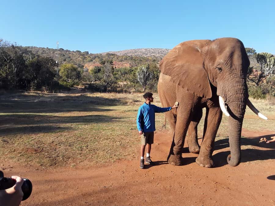 The Elephant and Monkey Sanctuary. - The Photos and Video Factor: How You Get Great Memories