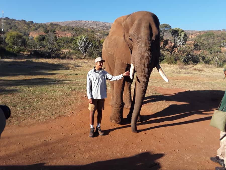 The Elephant and Monkey Sanctuary. - The Route: Johannesburg to Magaliesburg and Hartbeespoort Dam