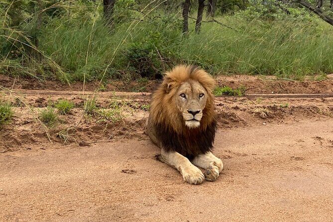 The Kruger National Park - Full Day Tour - Water is included, but lunch is on your budget