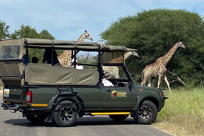The Kruger National Park - Full Day Tour - Price and value: what $106.32 buys you for 10 hours