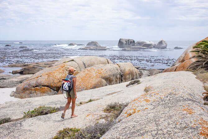 The Mountain to Sea Adventure - A Lion Trail that links Signal Hill to Sea Point
