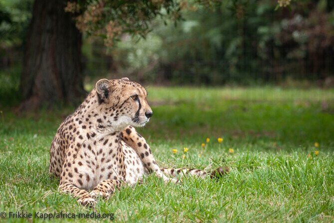 The Private Wildlife Tour - Price and value: $35.27 with admission included