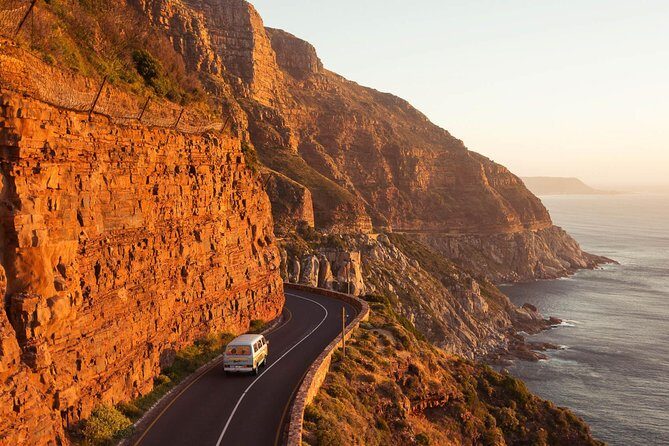 The Road Trip (Cape Point and Penguins) - Boulders Beach Penguin Colony: the hour you’ll remember