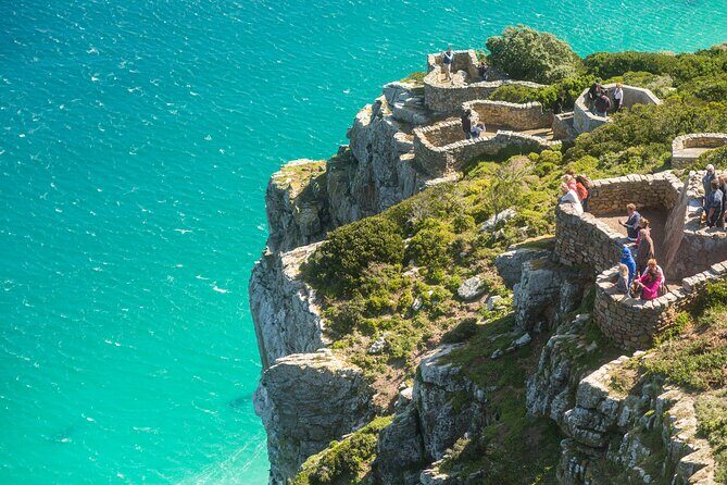 The Road Trip (Cape Point & Penguins) - Private Tour - Boulders Beach Penguin Colony: your best 1-hour penguin hit
