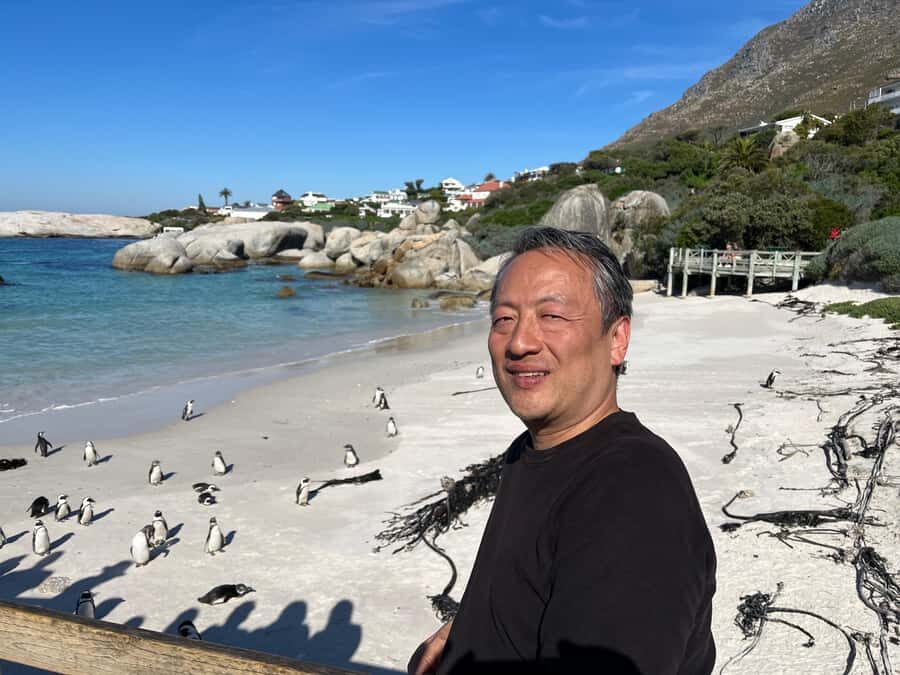 The Ultimate Cape of Good Hope Experience - Why This Cape Peninsula Loop Works as a One-Day Hit