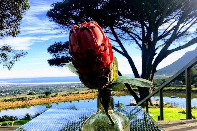 Three Day Private tour: Table Mountain, City, Cape Peninsula and Winelands - Best fit: who this 3-day private tour suits