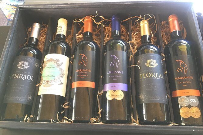 Three Day Private tour: Table Mountain, City, Cape Peninsula and Winelands - Practical tips to make this tour smoother