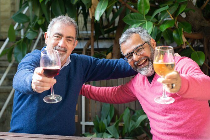 Top 3 Cape Town Wineries Half Day Private Tour - How the Half-Day Plan Feels in Real Life