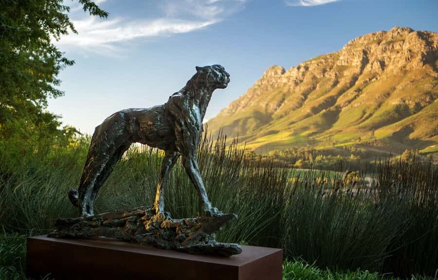 Tour the Winelands: Stellenbosch to Franschhoek - Franschhoek Pass to Stellenbosch: the scenic start