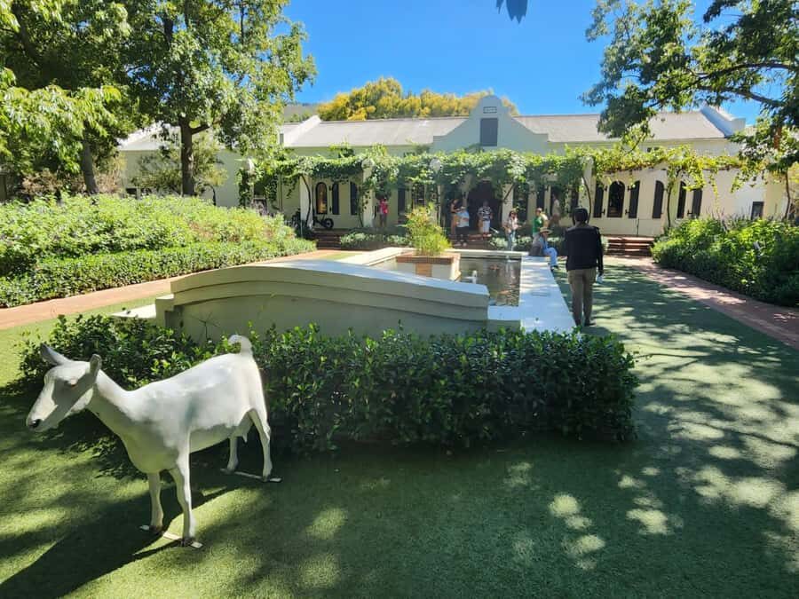 Tour the Winelands: Stellenbosch to Franschhoek - Tokara Wine Estate: winemaking techniques you can actually picture