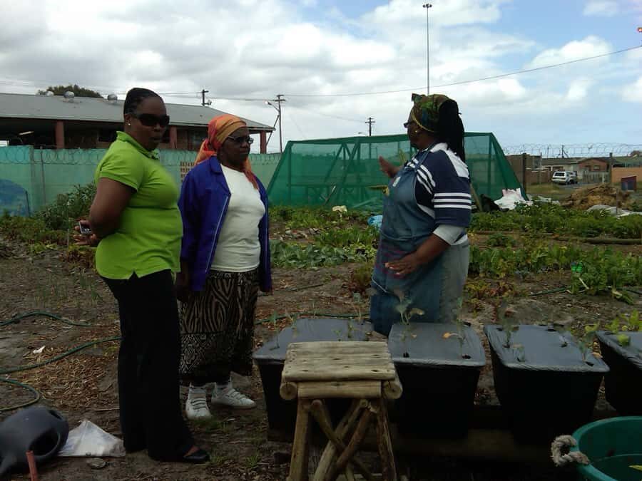 Township Eco Tour - Why this township tour feels different than a photo walk