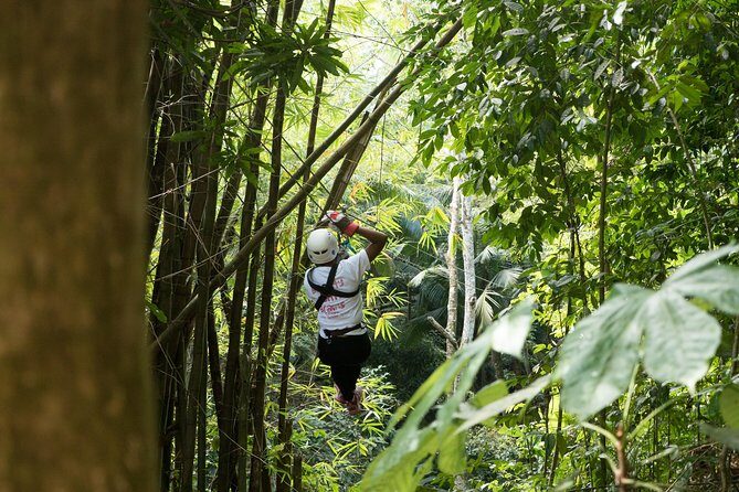 Treetop Canopy Adventure - Ziplining Over St. Lucia’s Rainforest: The 5-Hour Rhythm
