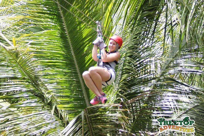Treetop Canopy Adventure - NexusTours Start: Getting Organized Before You Fly