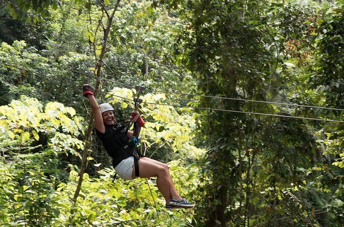 Treetop Canopy Adventure - Morning Timing: Why the 7:00 AM Start Works