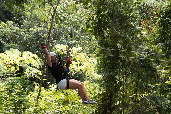 Treetop Canopy Adventure - Between Lines: Flora, Fauna, and the View Stops You Actually Want