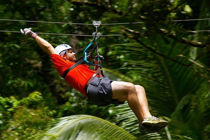 Treetop Canopy Adventure - The Course Itself: 11 Ziplines and Two Net Bridges