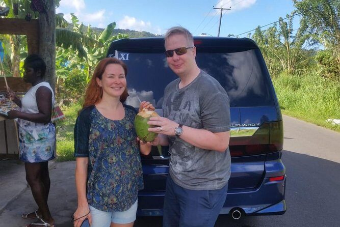 Trip to Soufiere: Volcano, Twin Pitons, Waterfall, Mud Bath & Botanical Garden - Who This Tour Suits Best (And Who Might Skip It)