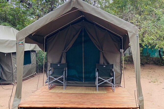 Two day Kruger National Park Safari from Johannesburg - The Big Five promise: what it really means for your odds