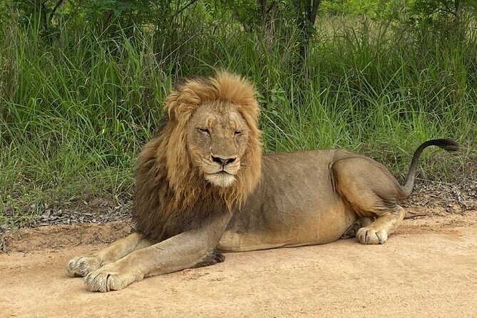 Two Days, One Night Tour: Blyde River to Kruger National Park - Two Days, One Night: The Practical Rhythm of This Blyde + Kruger Tour