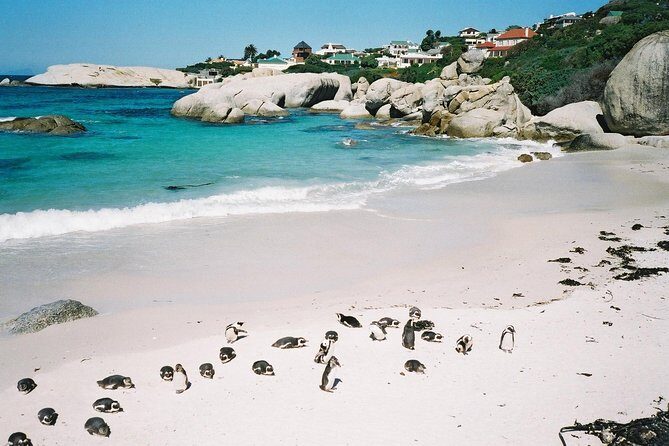 Ultimate Cape Point Tour from Cape Town - Full Day - Morning Start: Bo-Kaap Walk and Camera-Friendly Streets