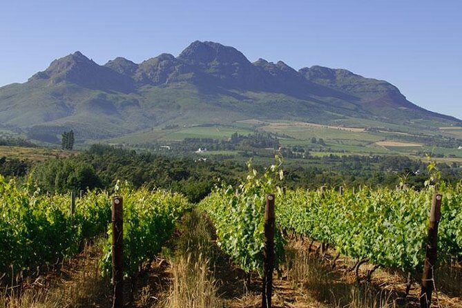 Unique Stellenbosch Winelands Tour with optional 4x4 Wine Drive - Price and value: why $244.88 can make sense