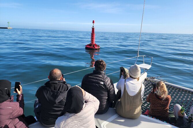 V&A Waterfront Marine Big 5 Ocean Safari - The Marine Big Five hunt on the Atlantic Seaboard