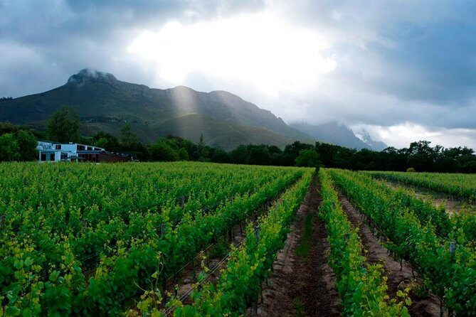 Vine Hopper: Hop-On Hop-Off Wine Tour - Eastern Route - Getting picked up, then cruising in comfort