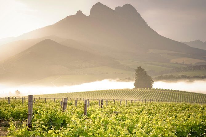 Vine Hopper: Hop-On Hop-Off Wine Tour - Northern Route - Key things to know before you go