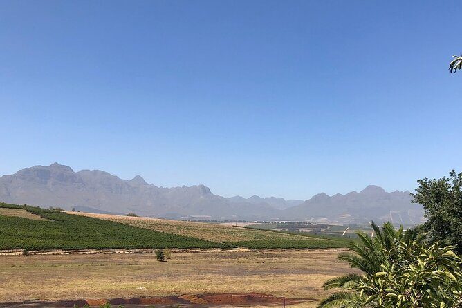 Vine Hopper: Hop-On Hop-Off Wine Tour - Northern Route - Beyerskloof: one more estate, still time to breathe