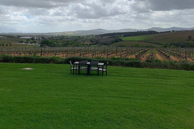 Vine Hopper: Hop-On Hop-Off Wine Tour - Southern Route - Price and value: what $25.88 covers (and what it doesn’t)