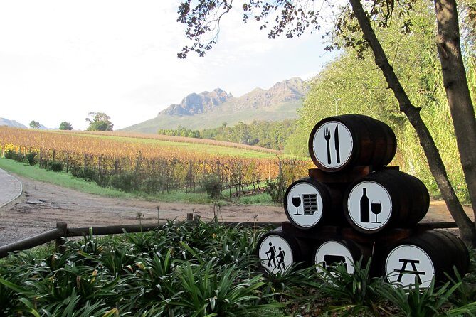 Vine Hopper: Hop-On Hop-Off Wine Tour - Southern Route - Wine tasting strategy: how to spend your time without burning the day
