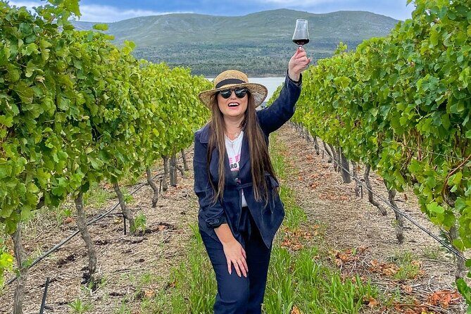 Vineyard Safari and Wine Tasting in Hermanus with Guide - The 5-wine tasting: focused, comparable, and easy to enjoy