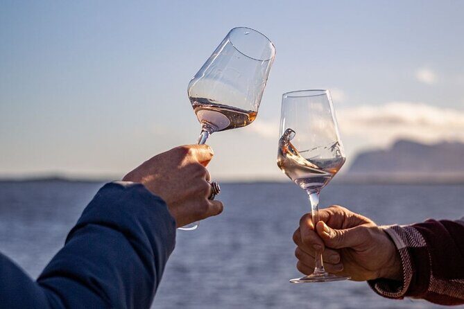 Vineyard Safari and Wine Tasting in Hermanus with Guide - Price and value: what $26.02 buys you in real terms