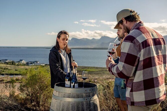 Vineyard Safari and Wine Tasting in Hermanus with Guide - Who should book this safari wine tasting (and who might skip it)