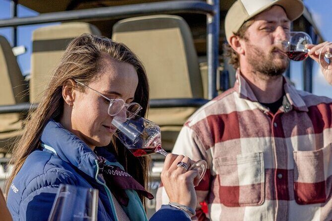 Vineyard Safari and Wine Tasting in Hermanus with Guide - Your 1-hour ride: safari ATV vibes without the chaos