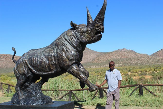 Visit African Big 5 Safari Aquila Game Reserve from Cape Town - full Day - Small-group comfort: what “max 13” changes in real life