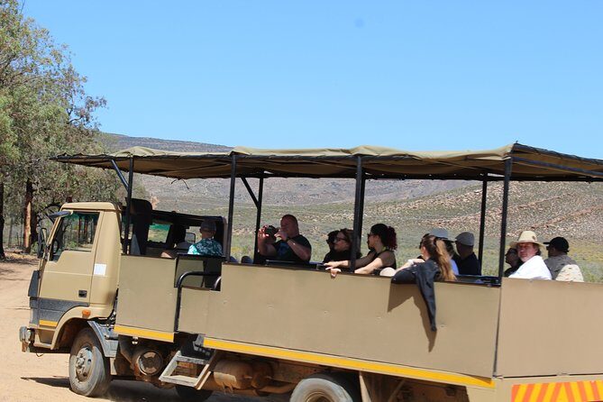 Visit African Big 5 Safari Aquila Game Reserve from Cape Town - full Day - Pool time or a bonfire: how the reserve handles seasons