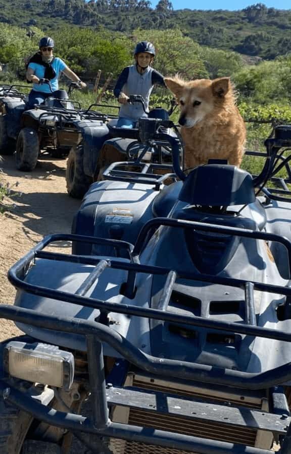 Vrede en Lust Wine Estate: 1H Quad Bike Trail - Timing and group rules: late arrivals cost you ride time