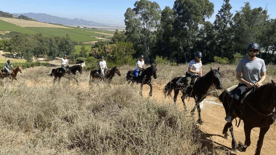 Vrede en Lust Wine Estate: 2H Horse Trail - Key Things That Make This Ride Worth Your Time