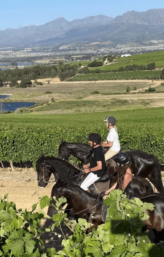Vrede en Lust Wine Estate: 2H Horse Trail - Vrede en Lust Horse Trail: What It Feels Like in Franschhoek