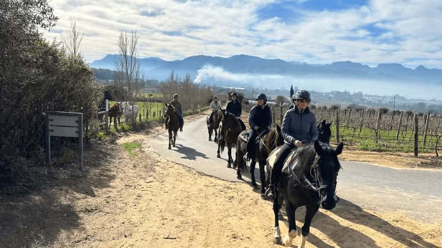 Vrede en Lust Wine Estate: 2H Horse Trail - Vineyards, Mountains, and a View-First Ride Plan
